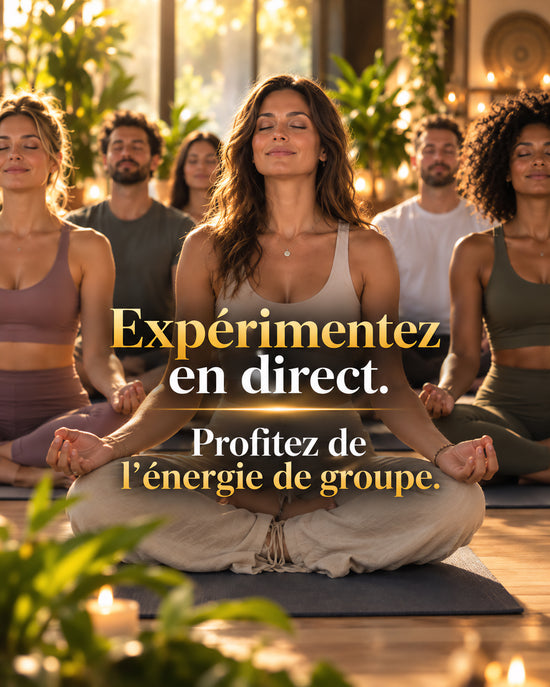 atelier_collectif_developpement_personnel_fabien_troude_neurosciences_mindset_relaxation_2