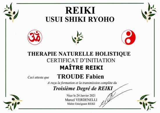 certificat_Reiki_maitre_3_eme-degre_fabien_troude