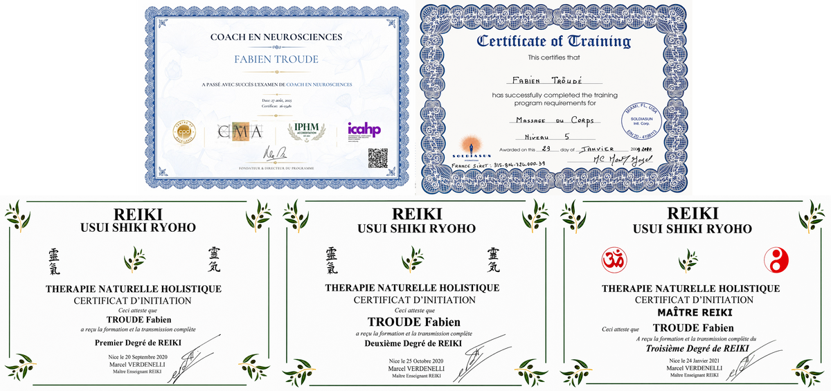 fabien_troude_diplomes_coach_neurosciences_massage_niveau_5_maitre_reiki