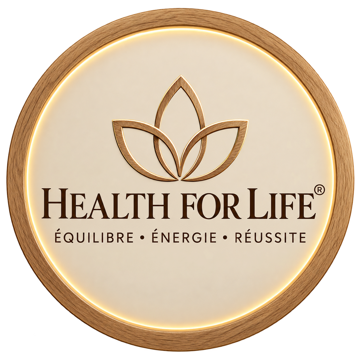 health_for_life_massage_reiki_coach_developpement_personnel_fabien_troude_logo