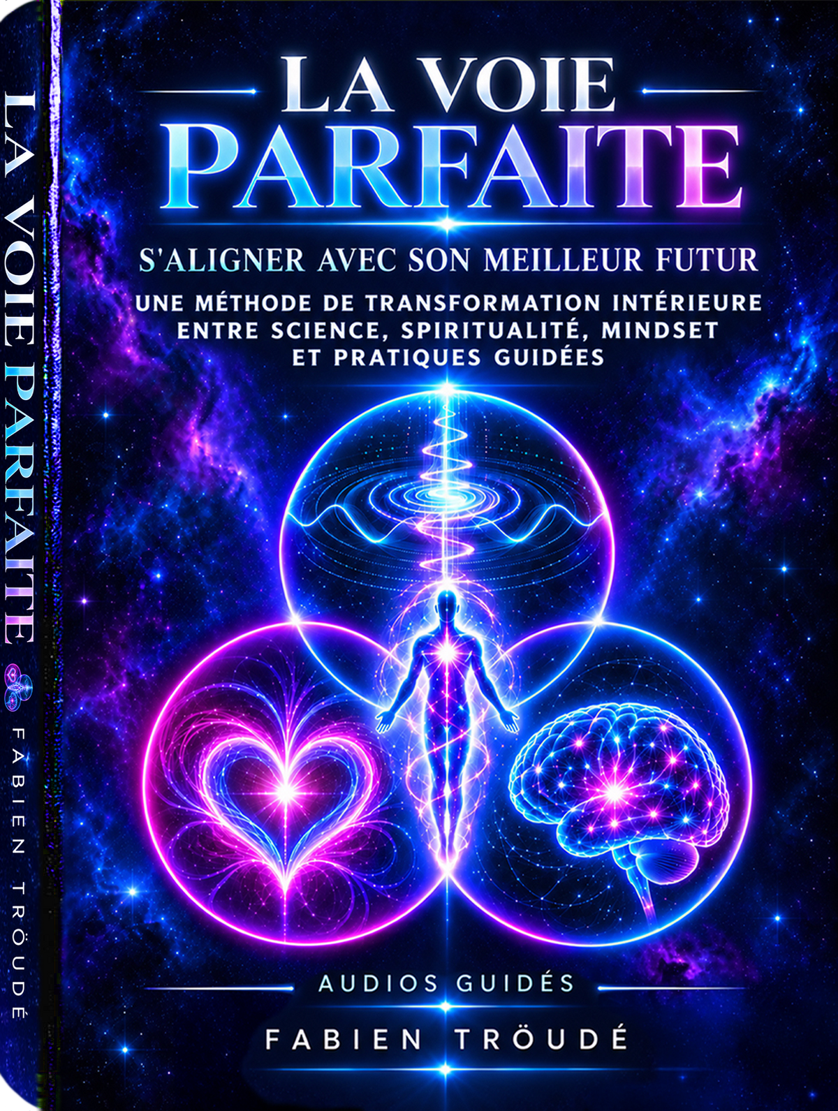 la_voie_parfaite_fabien_troude_livre_futur_abondance_reussite_succes