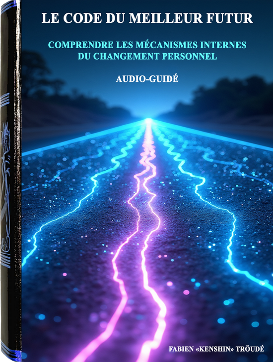 livre audios le code du meilleur futur amazon loi attraction